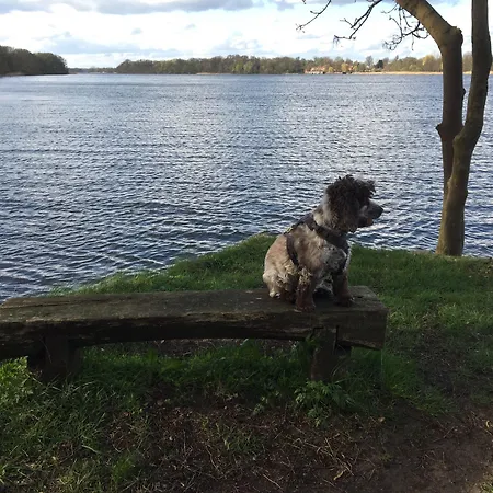 Seehotel Theodors Wustrau