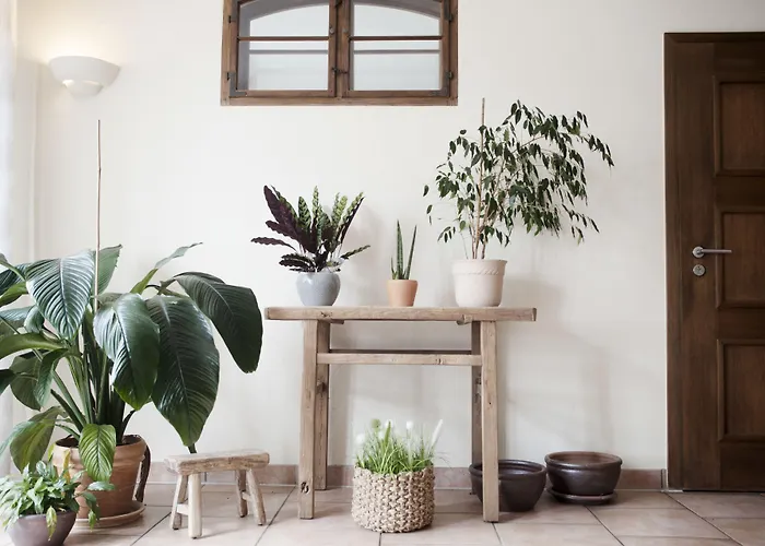 Seehotel Theodors 4* Wustrau