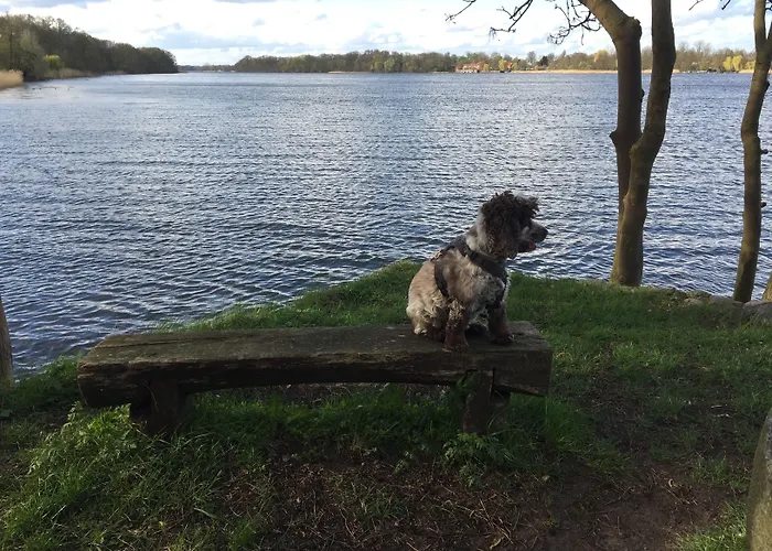 Seehotel Theodors Wustrau