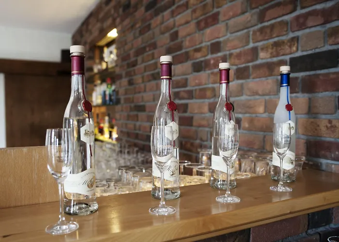 Seehotel Theodors 4* Wustrau